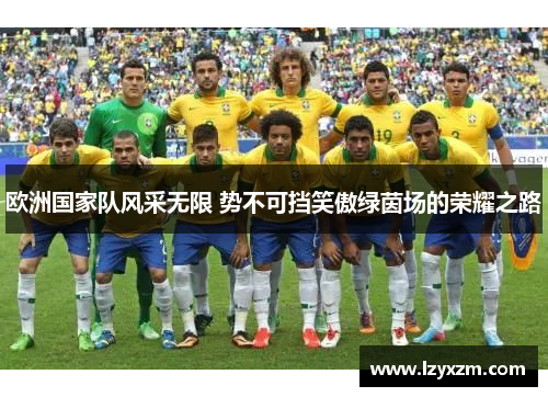 欧洲国家队风采无限 势不可挡笑傲绿茵场的荣耀之路
